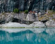 Glacier Bay Reflection 4734