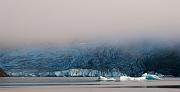 Mendenhall Iceberg 4220