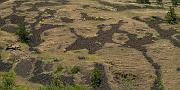 Basalt Pattern 134a