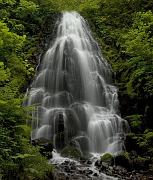 Fairy Falls 13a