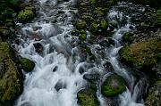 Wahclella Tanner Creek 6118