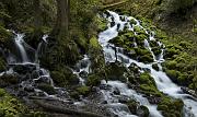Wakeena Creek 058-060