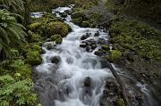 Wakeena Creek 148-149