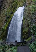 Wakeena Falls 11a