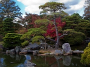 Katsura Garden 11-3047a