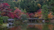 Shugagku-in  Garden 11-2720