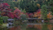 Shugagku-in  Garden 11-2720