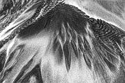 Sand Pattern 267a bw