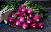 Morning Market-Radishes 11-0320