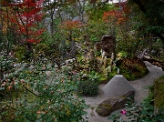 Ohara Hosen-in Garden 11-2228
