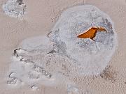 Upper Geyser Basin 6658
